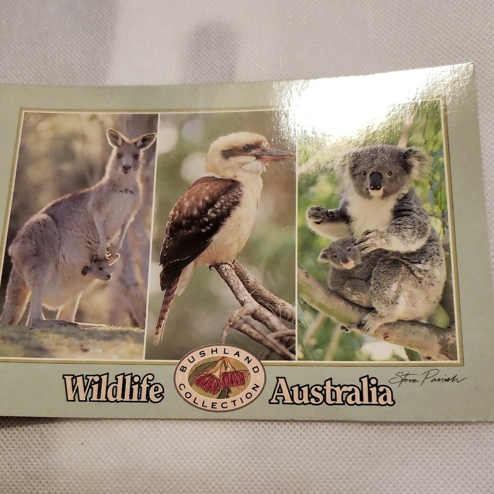 Vintage RPPC Postcard Unused Australian Wildlife Bushland A1-119